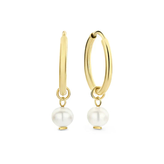 Lynor™ | Delia Crest Earrings – Regal 14K Gold Elegance with a Sculpted Finish